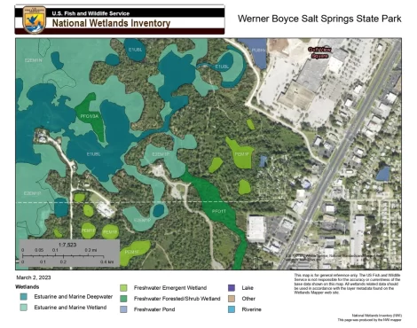 Salt Springs State Park - Wetland Mapper
